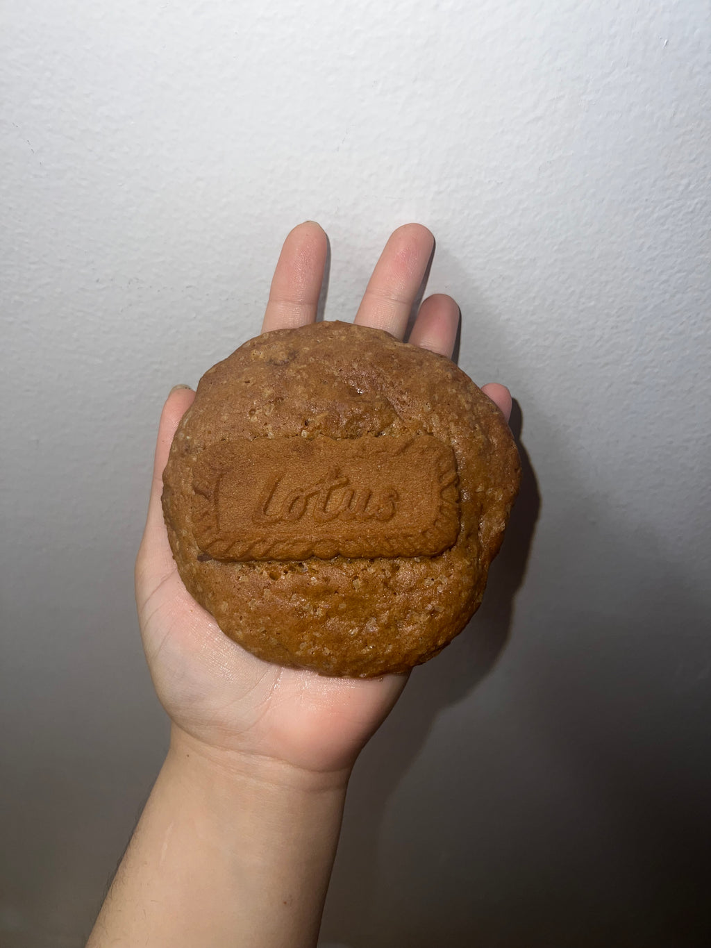 Triple Dulce Biscoff Dream Cookie ✨