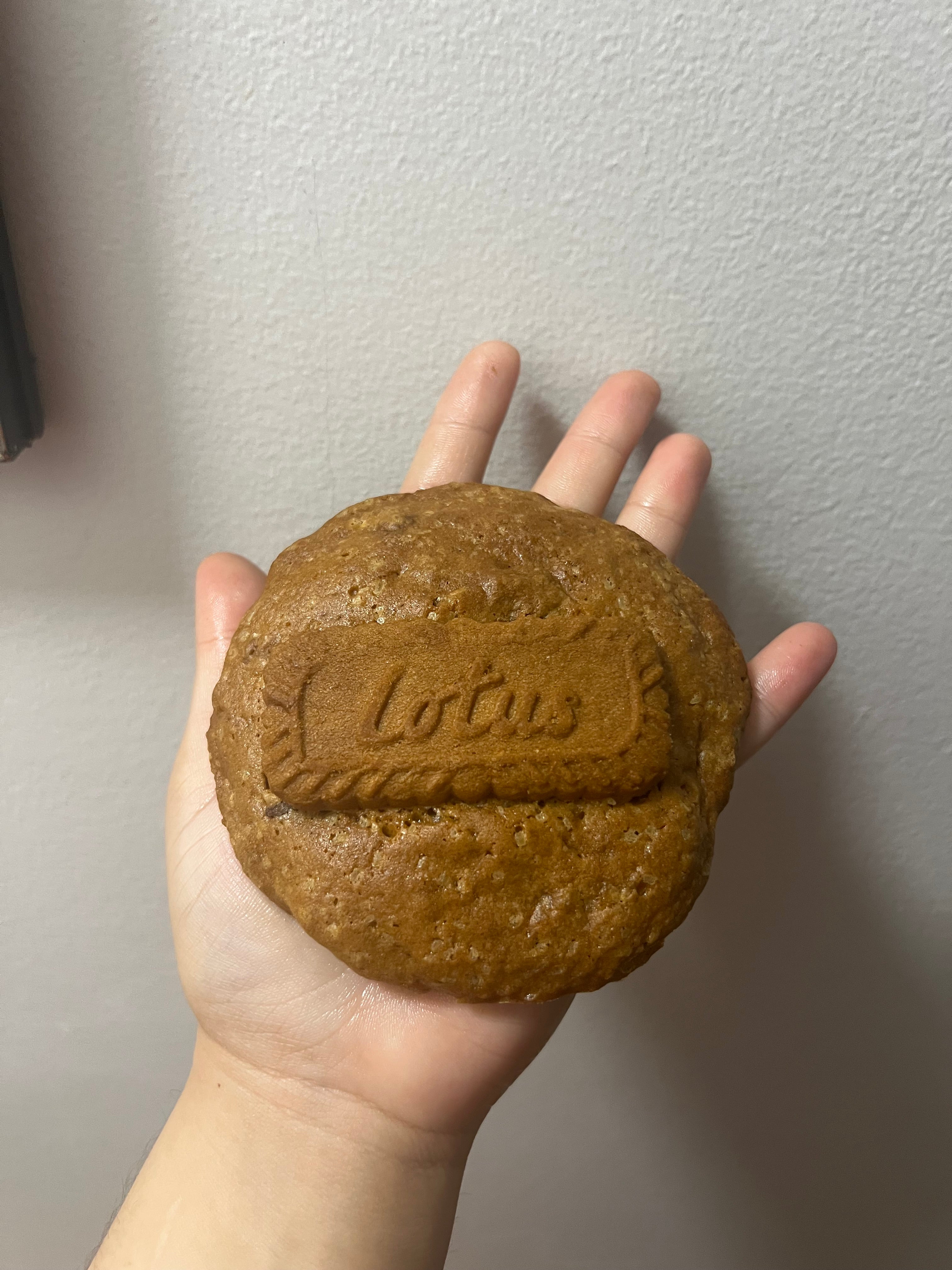 Triple Dulce Biscoff Dream Cookie ✨